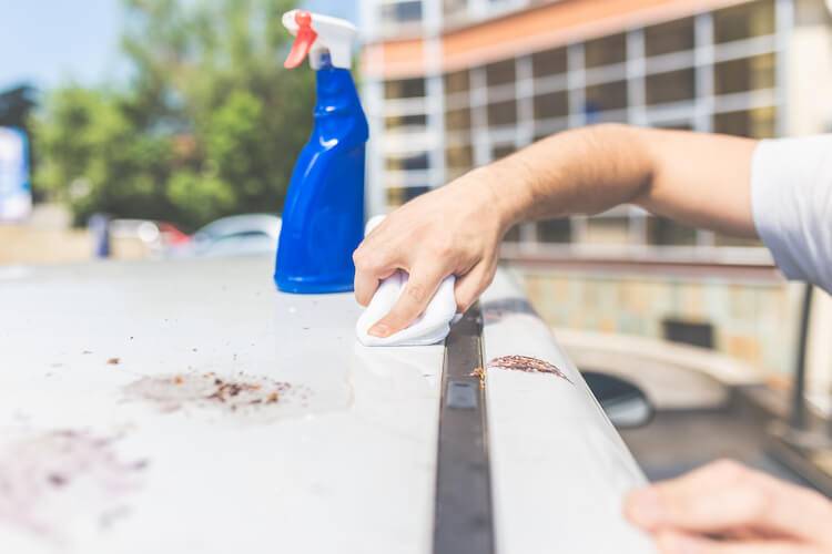 vogelkot vom pkw beseitigen vogelkot vom pkw beseitigen