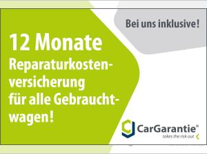 Volkswagen Caddy NFZMaxi Flexible 5-Sitzer 2,0 l TDI