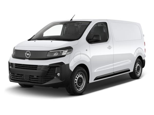 Opel Vivaro 2.2 XL L3 AHZV Holzboden