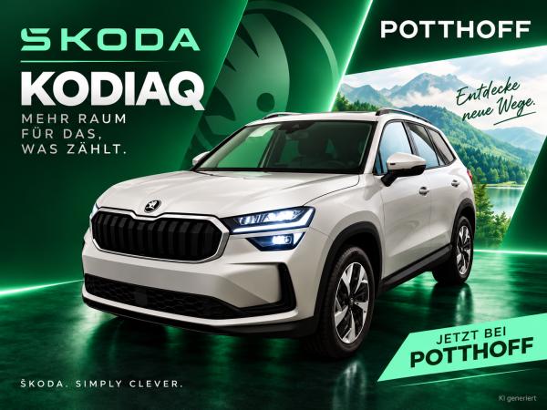 Skoda Kodiaq 2.0 TDI DSG 🔥  SELECTION🔥  4x4 AHK Navi MatrixLED