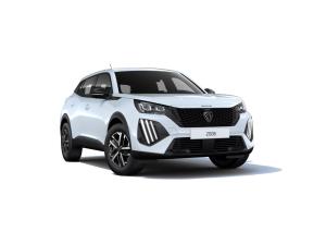 Peugeot 2008 Style Elektro |Gewerbehammer|