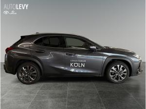 Lexus UX-300h UX 300h F Sport Design *Sofort* Diverse Farben!