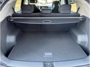 Kia EV3 Earth 81,4 kWh WINTER BUSINESS UPGRADE DriveWP