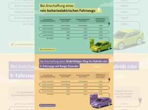 Volvo EX30 P5 Long Range Plus Black Edition - bitte Beschreibung lesen